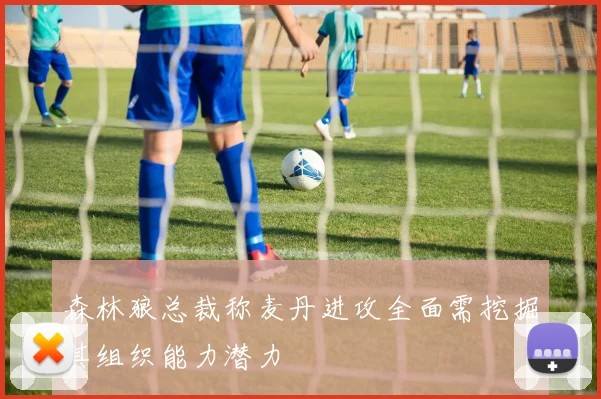 森林狼总裁称麦丹进攻全面需挖掘其组织能力潜力
