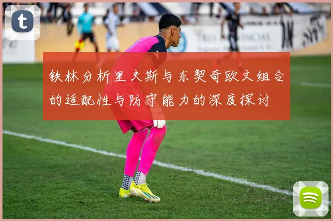 铁林分析里夫斯与东契奇欧文组合的适配性与防守能力的深度探讨